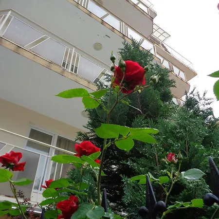 за гости герови 3*