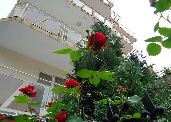 за гости герови 4*